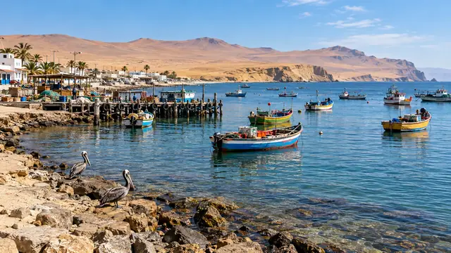 Barques de pêche colorées dans la baie de Paracas, un ponton et des pélicans sur les rochers, collines désertiques au fond